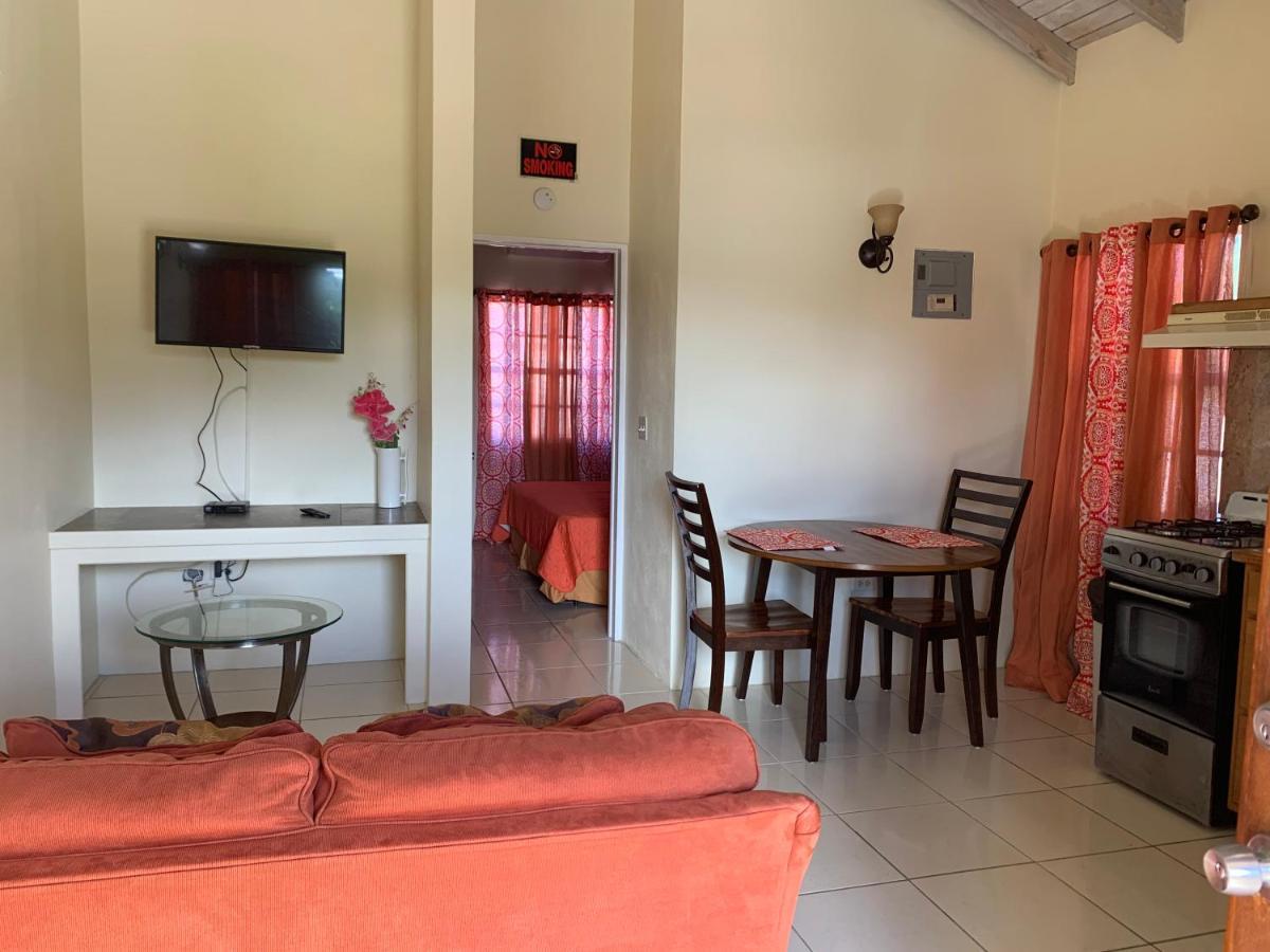 Connie'S Comfort Suites St. John's Luaran gambar